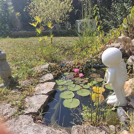 Bed and Breakfast Chez Isa Et Dens Marsac-sur-l'Isle Exterior foto