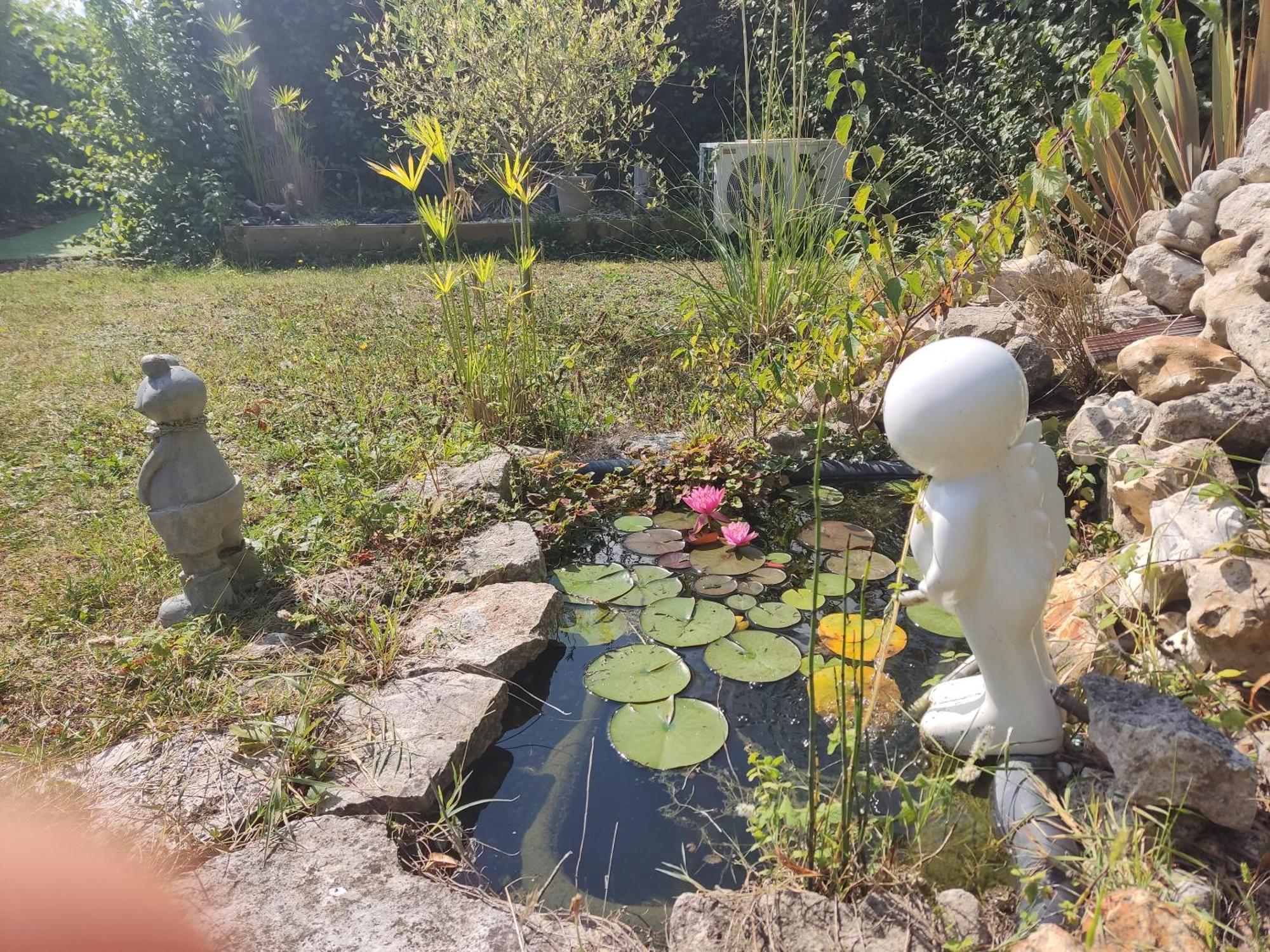 Bed and Breakfast Chez Isa Et Dens Marsac-sur-l'Isle Exterior foto